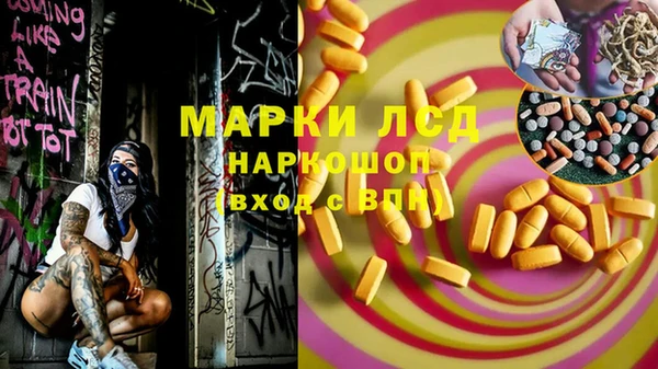 ECSTASY Лагань