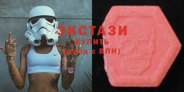 ECSTASY Лагань