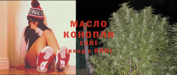 ECSTASY Лагань
