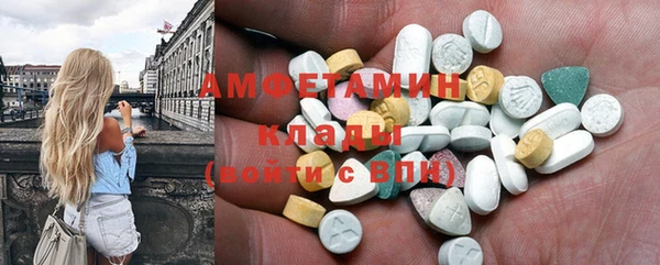 ECSTASY Лагань